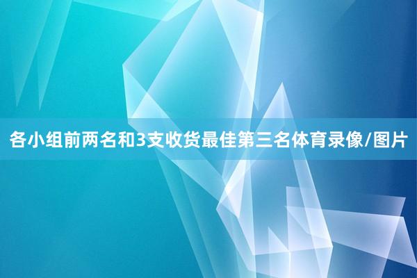 各小组前两名和3支收货最佳第三名体育录像/图片