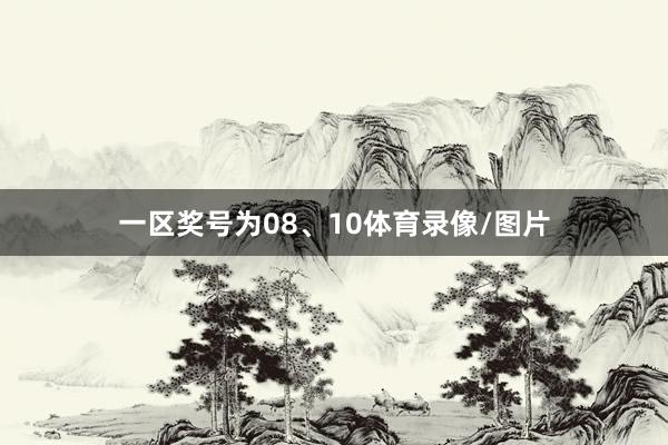 一区奖号为08、10体育录像/图片