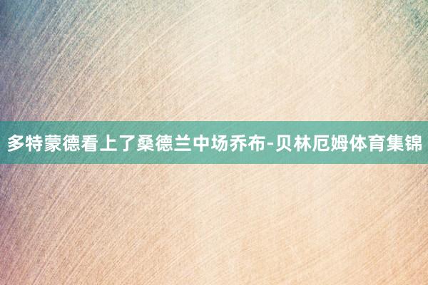 多特蒙德看上了桑德兰中场乔布-贝林厄姆体育集锦