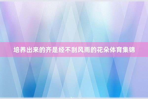 培养出来的齐是经不刮风雨的花朵体育集锦
