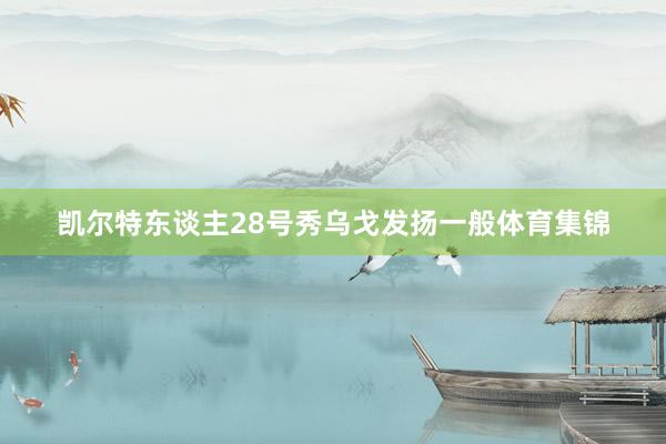 凯尔特东谈主28号秀乌戈发扬一般体育集锦