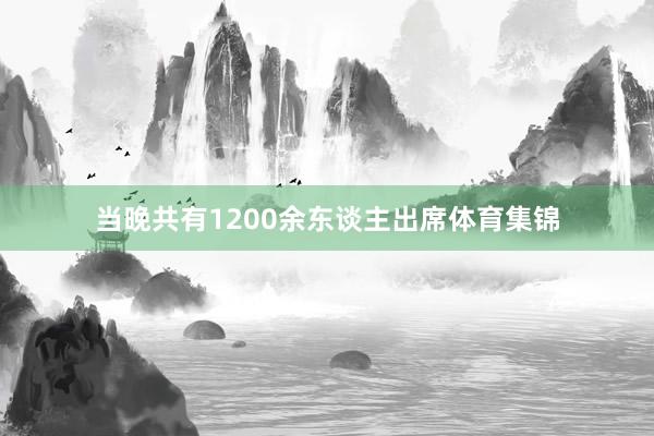 当晚共有1200余东谈主出席体育集锦