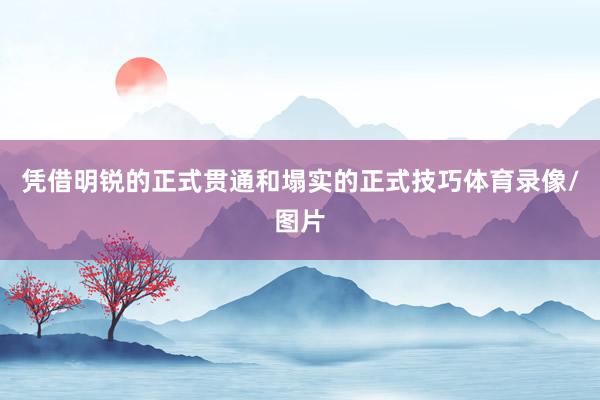 凭借明锐的正式贯通和塌实的正式技巧体育录像/图片