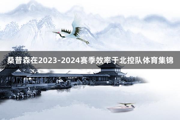 桑普森在2023-2024赛季效率于北控队体育集锦