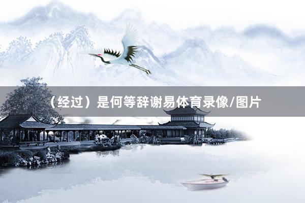 （经过）是何等辞谢易体育录像/图片