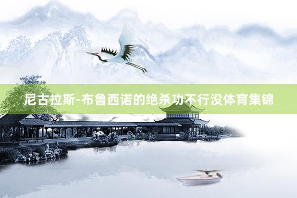 尼古拉斯-布鲁西诺的绝杀功不行没体育集锦