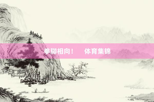拳脚相向！    体育集锦