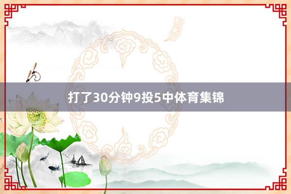 打了30分钟9投5中体育集锦