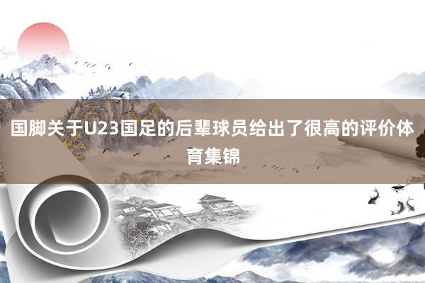 国脚关于U23国足的后辈球员给出了很高的评价体育集锦
