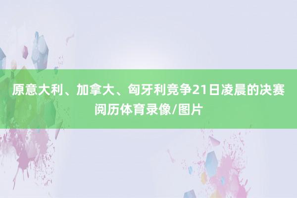原意大利、加拿大、匈牙利竞争21日凌晨的决赛阅历体育录像/图片