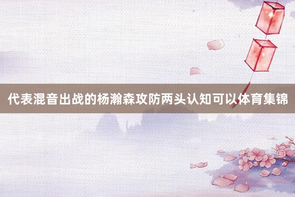 代表混音出战的杨瀚森攻防两头认知可以体育集锦