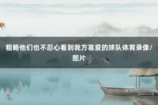 粗略他们也不忍心看到我方喜爱的球队体育录像/图片