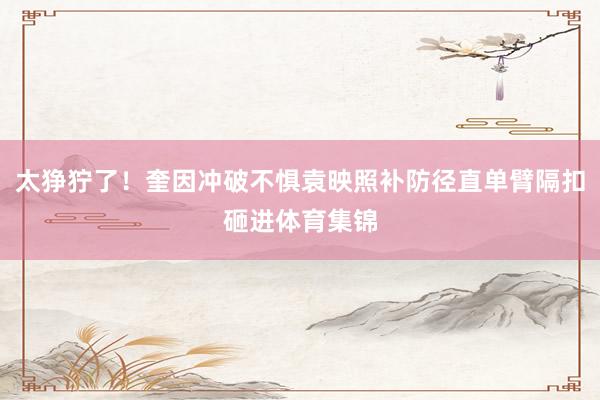 太狰狞了！奎因冲破不惧袁映照补防径直单臂隔扣砸进体育集锦