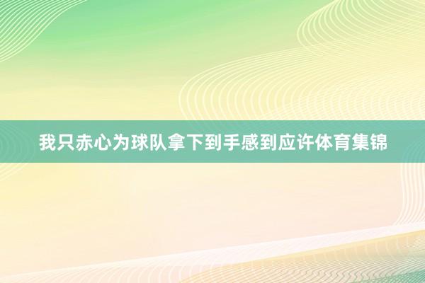 我只赤心为球队拿下到手感到应许体育集锦