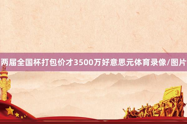 两届全国杯打包价才3500万好意思元体育录像/图片