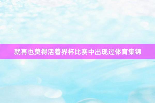 就再也莫得活着界杯比赛中出现过体育集锦